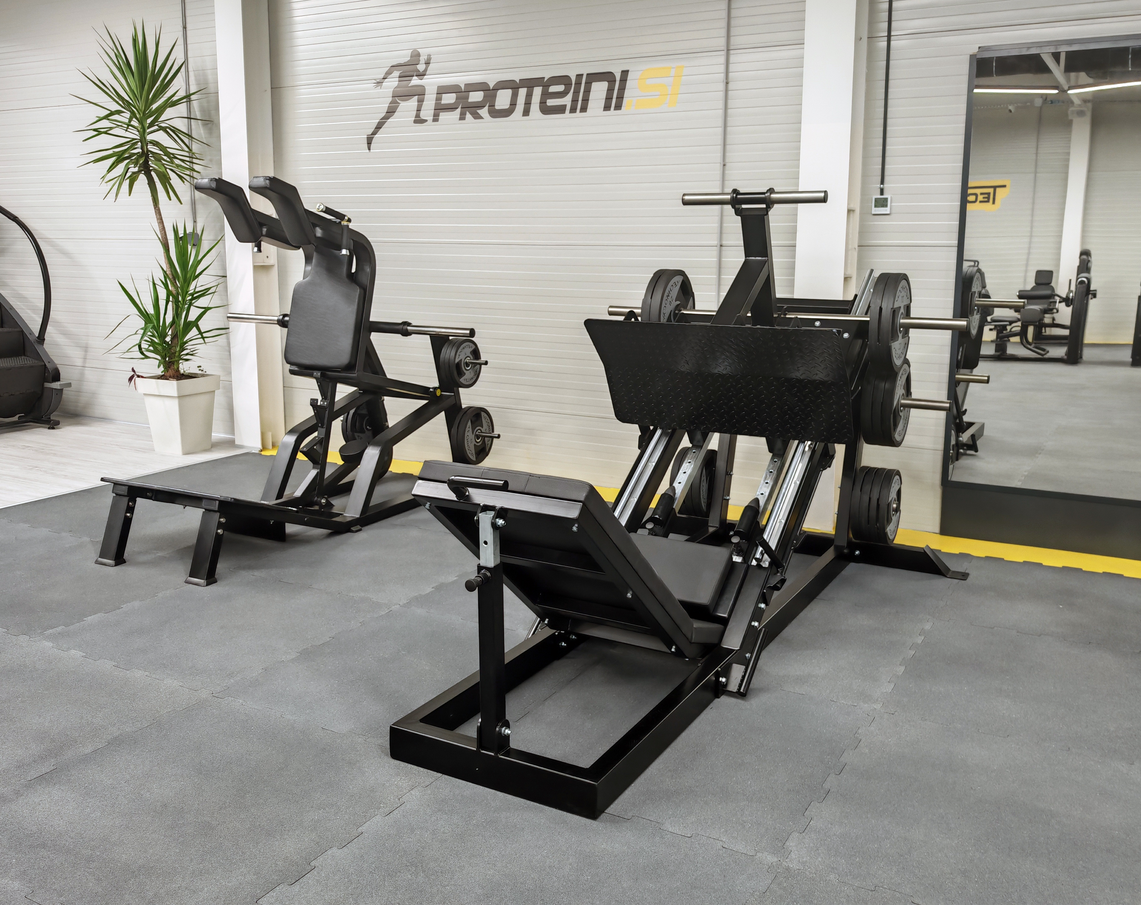 Leg Press